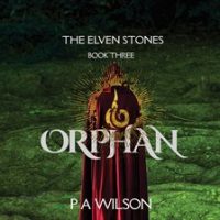 The Elven Stones: Orphan by Wilson, P. A